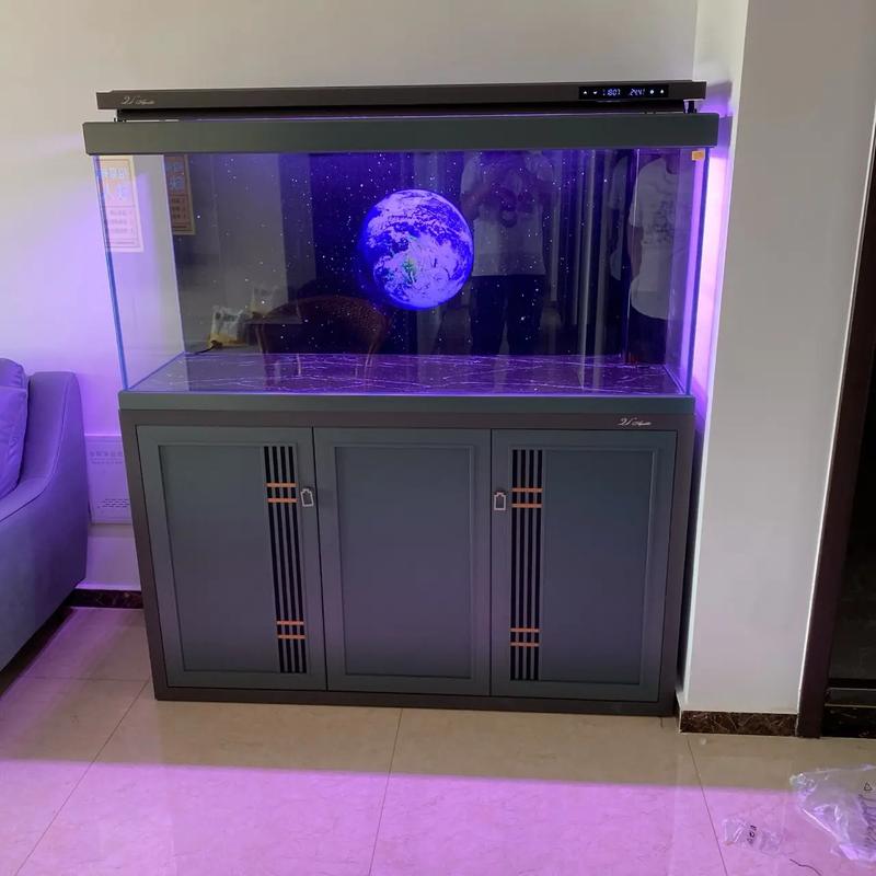 定州市南城區(qū)尹家莊 專業(yè)水族箱批發(fā)，打造水族愛好者首選地