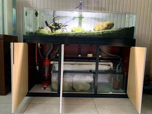 超白缸生態(tài)草缸 最新價格與選購指南